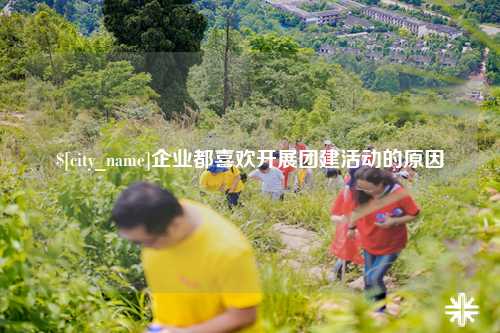 三亚企业都喜欢开展团建活动的原因